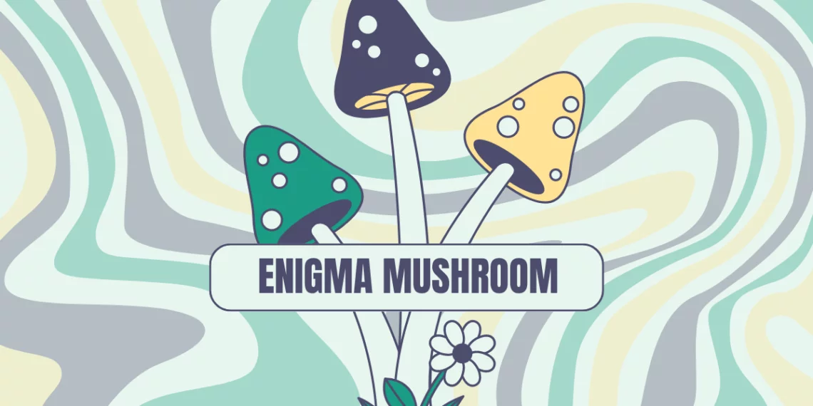 The Enigma Mushroom Unveiled A Comprehensive Exploration