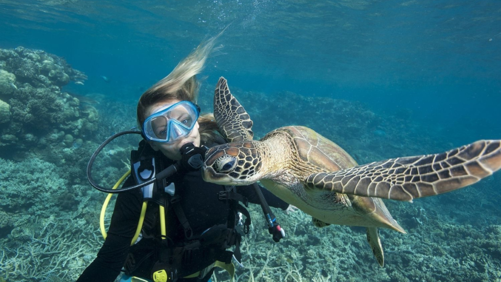 Marine Biology