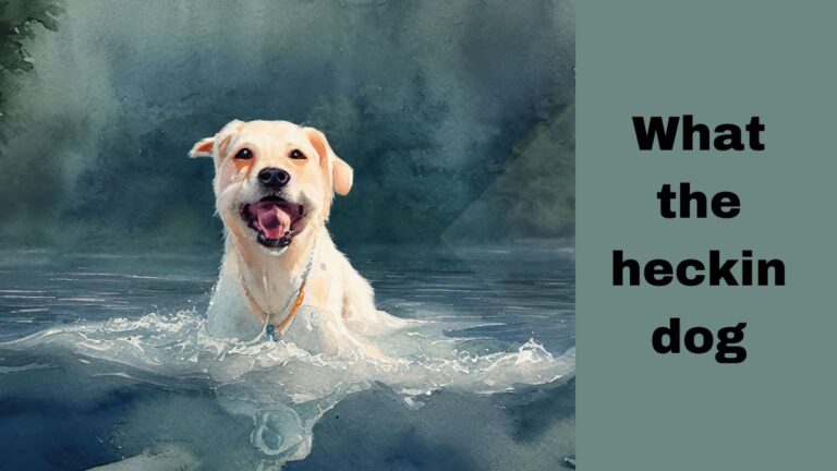 What the heckin dog: Decoding Canine Communication