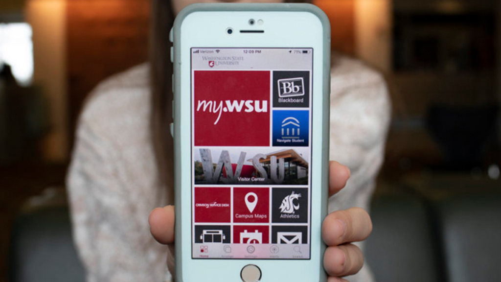 MyWSU