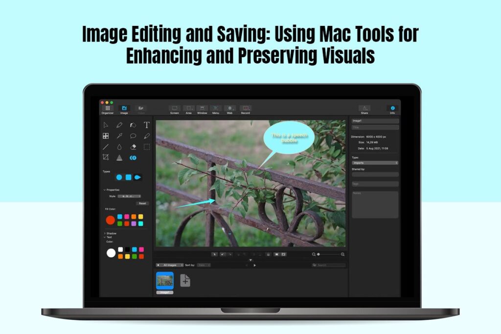 Using Mac Tools for Enhancing and Preserving Visuals