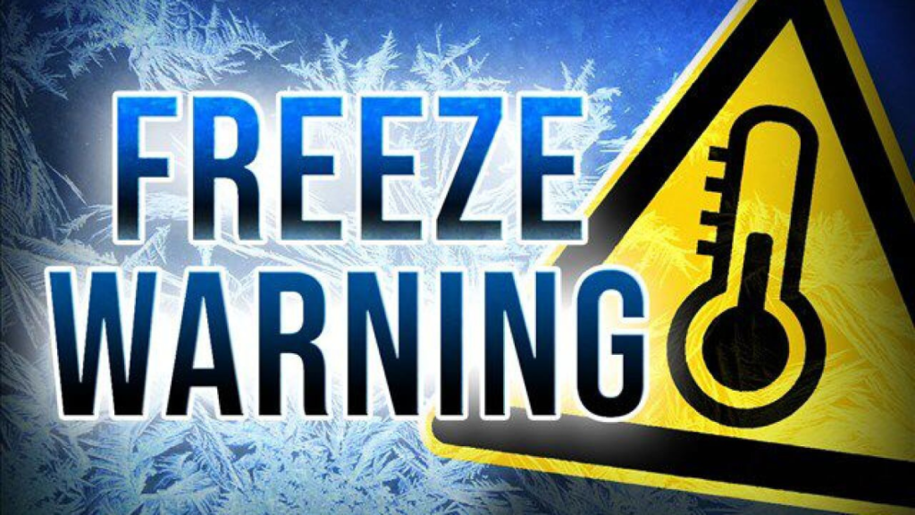 Freeze Warning
