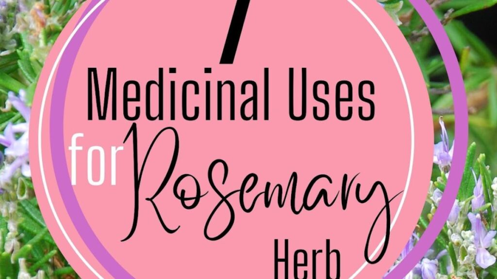 Rosemary