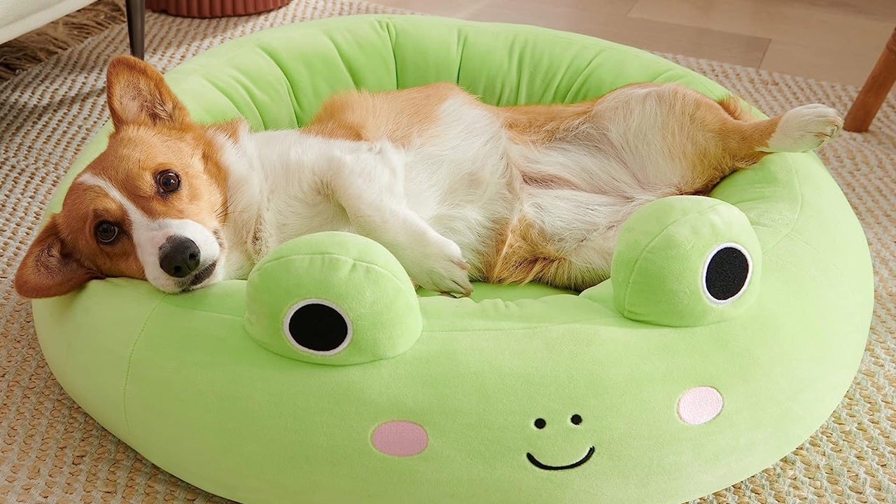 Squishmallow Pet Beds