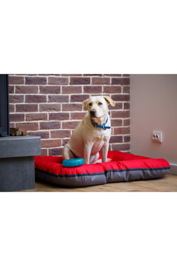 Exploring the Comfort and Benefits of Bolster Dog Beds