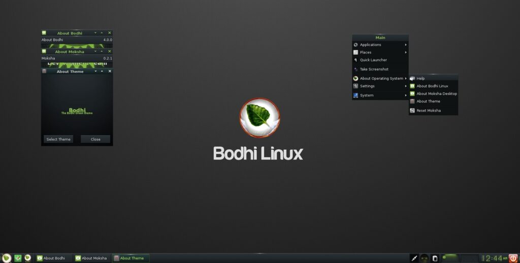 Bodhi Linux