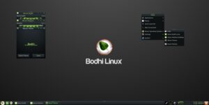 Bodhi Linux: A Lightweight Ubuntu-Based Distribution with Moksha Desktop